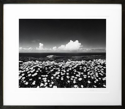 Lot 131 - Ander GUNN (XX-XXI)
