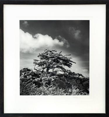 Lot 120 - Ander GUNN (XX-XXI)