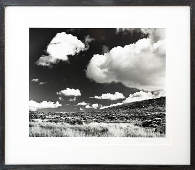 Lot 125 - Ander GUNN (XX-XXI)