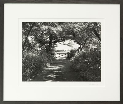 Lot 117 - Ander GUNN (XX-XXI)