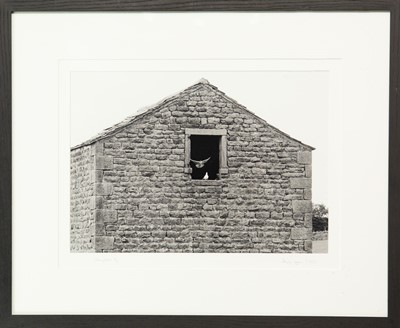 Lot 130 - Ander GUNN (XX-XXI)