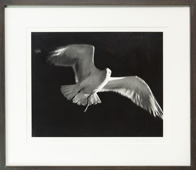 Lot 98 - Ander GUNN (XX-XXI)