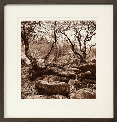 Lot 109 - Ander GUNN (XX-XXI)