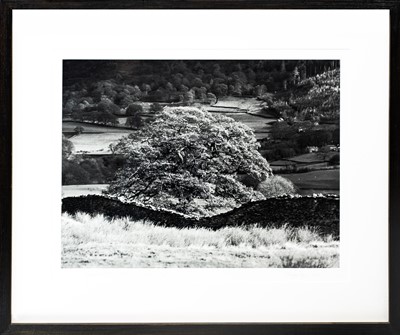 Lot 132 - Ander GUNN (XX-XXI)