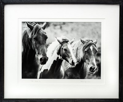Lot 114 - Ander GUNN (XX-XXI)
