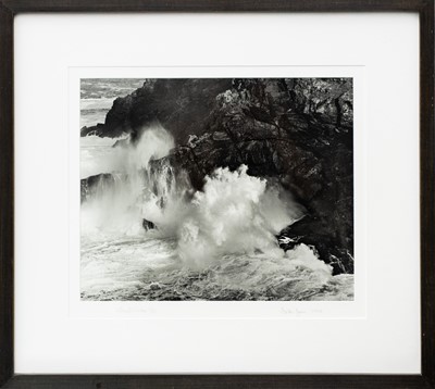 Lot 116 - Ander GUNN (XX-XXI)