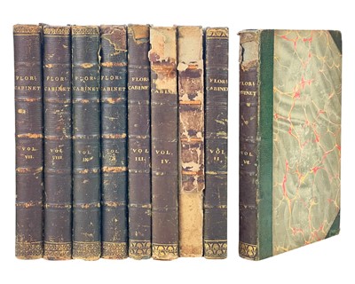 Lot 426 - (Botany illustrations) Joseph Harrison