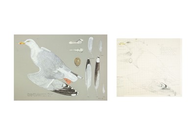 Lot 315 - Valentine Stewart 'Pat' PATON (1925-2012)