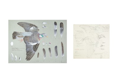 Lot 317 - Valentine Stewart 'Pat' PATON (1925-2012)