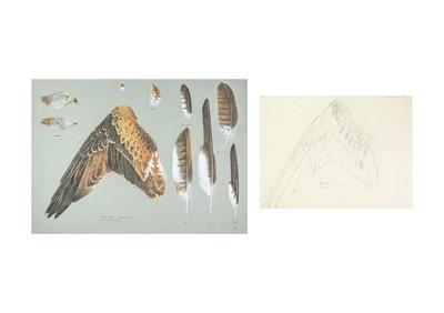 Lot 319 - Valentine Stewart 'Pat' PATON (1925-2012)