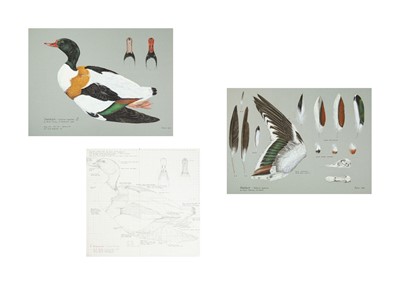 Lot 321 - Valentine Stewart 'Pat' PATON (1925-2012)