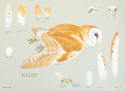 Lot 324 - Valentine Stewart 'Pat' PATON (1925-2012)