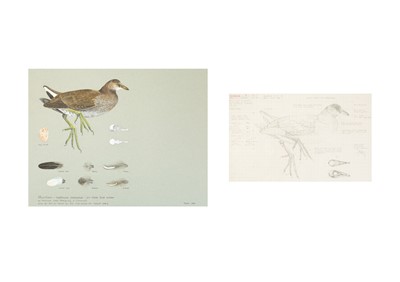 Lot 327 - Valentine Stewart 'Pat' PATON (1925-2012)