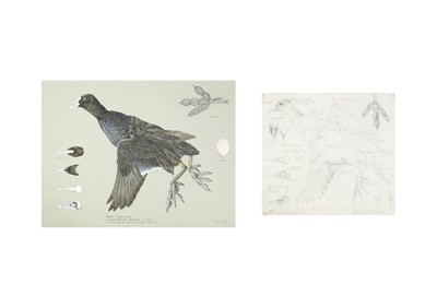 Lot 330 - Valentine Stewart 'Pat' PATON (1925-2012)