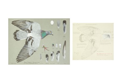 Lot 333 - Valentine Stewart 'Pat' PATON (1925-2012)