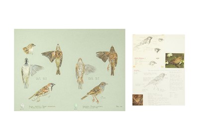 Lot 340 - Valentine Stewart 'Pat' PATON (1925-2012)