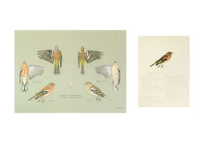 Lot 341 - Valentine Stewart 'Pat' PATON (1925-2012)