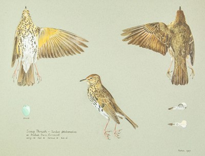 Lot 306 - Valentine Stewart 'Pat' PATON (1925-2012)