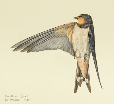 Lot 303 - Valentine Stewart 'Pat' PATON (1925-2012)