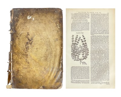 Lot 17 - THEOPHRASTUS. (ca 371-ca 287 B.C.)