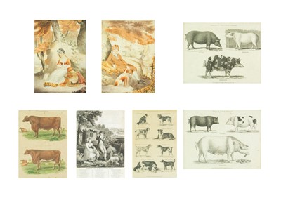 Lot 835 - 19th Century British School.