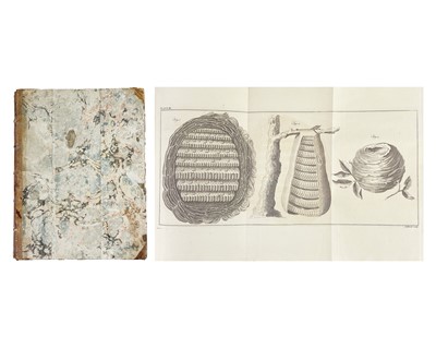 Lot 53 - (Apiculture) Thomas Wildman