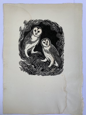 Lot 1351 - Clifford Cyril WEBB (1895-1972) Owls Two...