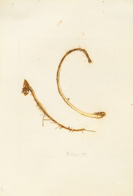 Lot 450 - Sandra BLOW (1925-2006)