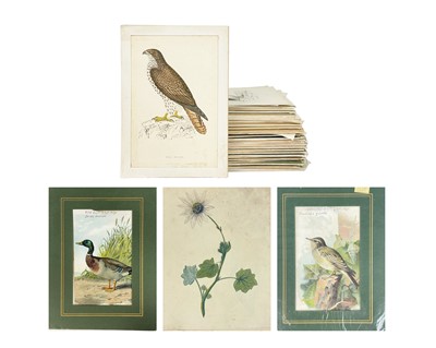 Lot 412 - (Ephemera)