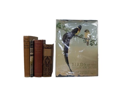 Lot 120 - (Birds)