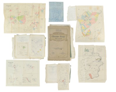 Lot 318 - (Auction Sale Particulars) The Clowance Estate, Cornwall