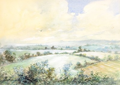 Lot 183 - Steve SLIMM (1953)