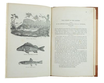 Lot 10 - (Angling)
