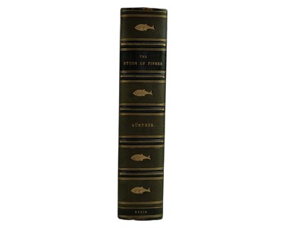 Lot 37 - (Presentation Copy, with authors A.L.S.) Albert Gunther