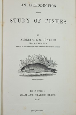 Lot 37 - (Presentation Copy, with authors A.L.S.) Albert Gunther