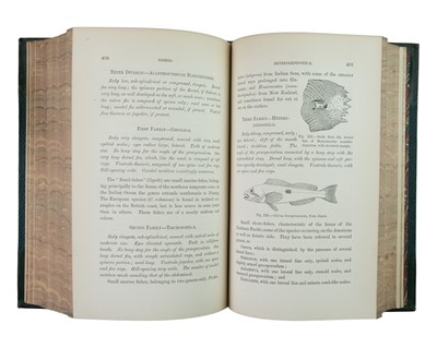 Lot 37 - (Presentation Copy, with authors A.L.S.) Albert Gunther