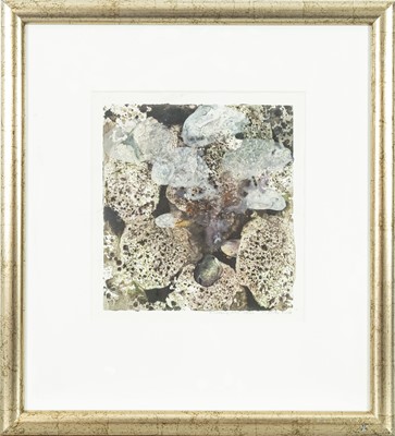 Lot 591 - Michael PORTER (1948)