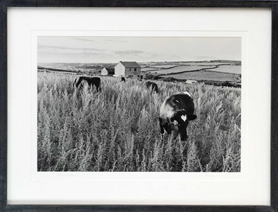 Lot 135 - Ander GUNN (XX-XXI)
