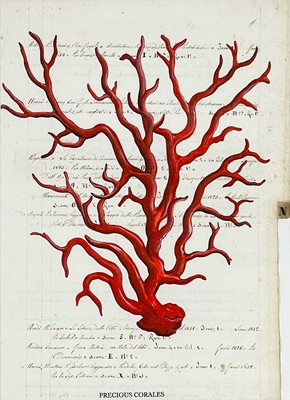 Lot 167 - A 19th century Italian ink inscribed...