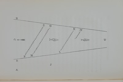 Lot (Angling) G. W. Soltau