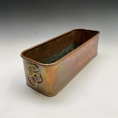 Lot 141 - A copper plant trough with brass lion's mask...