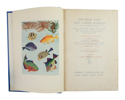 Lot 44 - (Angling)