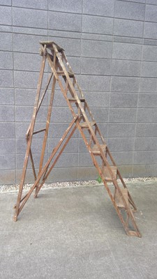Lot 4 - Vintage Decorators Steps. 175cm tall.