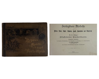 Lot 104 - (Layered and Movable Anatomical Plates) Dr. C. O. Lampe
