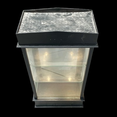 Lot 28 - An illuminated display case with two glass...