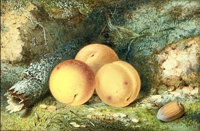 Lot 1124 - J TURNER Apricots on a mossy bank Watercolour...