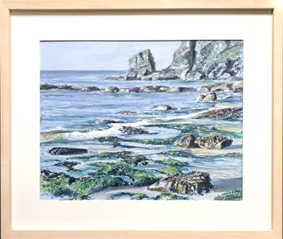 Lot 154 - Andrew GIDDENS (1976) Low Tide on a Rocky...