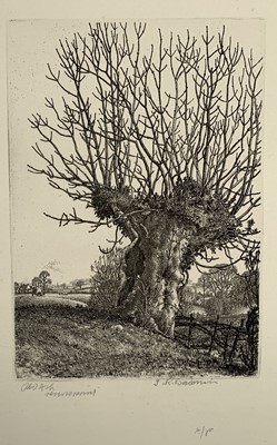 Lot 1389 - Stanley Roy BADMIN (1906-1989) Old Ash Circa...