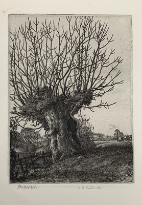 Lot 1390 - Stanley Roy BADMIN (1906-1989) Old Ash Circa...