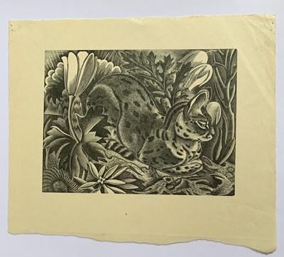 Lot 1404 - Clifford Cyril WEBB (1895-1972) Ocelot Woodcut...